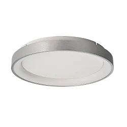 Applique et plafonnier MEROPE 40 IP20, argent