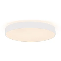 Applique et plafonnier MENKAR 60 IP20, blanche