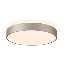 Applique et plafonnier MENKAR 80 IP20, argent