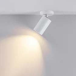 Luminaire de plafond CAN TILT ROUND Ø 8CM à 1 flamme, rond, pivotant à la cardan GU10 IP20, blanche