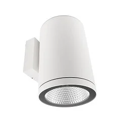 Projecteur de façade SHORELINE PRO ROUND 140 DOWN à 1 flamme, rond, CCT Switch IP65, blanche gradable