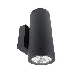 Projecteur de façade SHORELINE PRO ROUND 100 UP&DOWN à 2 flammes, rond, CCT Switch IP65, gris foncé gradable