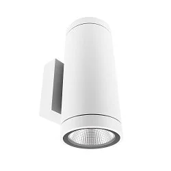 Projecteur de façade SHORELINE PRO ROUND 100 UP&DOWN à 2 flammes, rond, CCT Switch IP65, blanche gradable