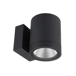 Projecteur de façade SHORELINE PRO ROUND 100 DOWN à 1 flamme, rond, CCT Switch IP65, gris foncé gradable