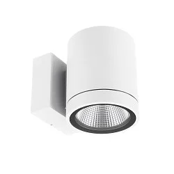 Projecteur de façade SHORELINE PRO ROUND 100 DOWN à 1 flamme, rond, CCT Switch IP65, blanche gradable