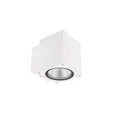 Projecteur de façade PRO SQUARE 100 DOWN à 1 flamme, angulaire, CCT Switch IP65, blanche gradable