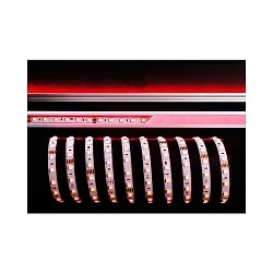 Bande LED 5050-60 SMD flexible blanche