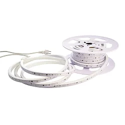 Bande LED flexible transparent, blanche