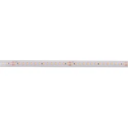 Bande LED 2835-140-48V-SILIKON blanche