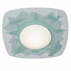 LED Ceiling luminaire SCANDI ,,WALD