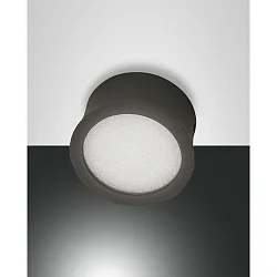 Downlight PONZA IP20, anthrazit, partiellement satiné gradable