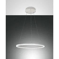 Luminaire à suspension GIOTTO 1 voie, contrôlable par la voix, Smartluce inclus IP20, satiné, blanche gradable