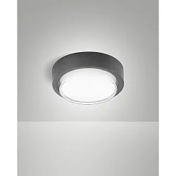 Plafonnier extérieur OWEN IP65, gris foncé