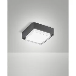 Plafonnier extérieur DIUK IP65, gris foncé