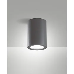 Plafonnier extérieur MANU E27 IP54, gris foncé