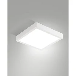 Plafonnier extérieur GIAN IP54, blanche