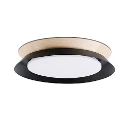 Applique et plafonnier TENDER LED IP20, noir mat 