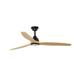 Ventilateur plafonnier ALO CCT avec télécommande IP20, noir mat, pin