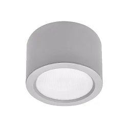 LED Downlight, 15W, 4000K, 1900lm, IP65, DALI dimmable, silver