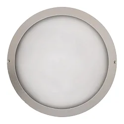 Luminaire mural d’extérieur IP65, argent 