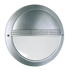 Luminaire mural d’extérieur avec grille IP65, argent 