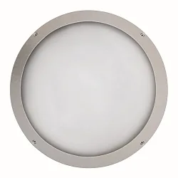 Luminaire mural d’extérieur IP65, argent 