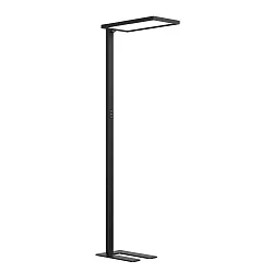 floor lamp MICROPAL®, UGR<16 with sensor, direct / indirect, programmable, with touch dimmer IP20, black dimmable