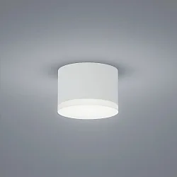 Luminaire de plafond PALA IP30, satiné, blanc mat gradable
