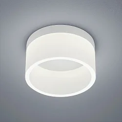 Luminaire de salle de bain LIV 20 forme de l'anneau IP30, blanc mat gradable
