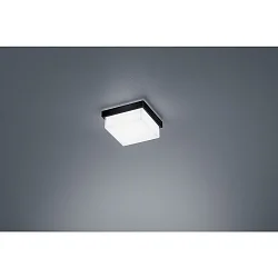 Luminaire de plafond COSI IP30, satiné, noir mat gradable
