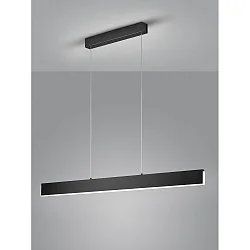 Luminaire à suspension NEX IP20, satiné, noir mat gradable