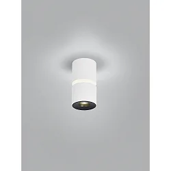 Luminaire de plafond ROK à 1 flamme, direct / indirect, focalisable IP20, blanc mat gradable