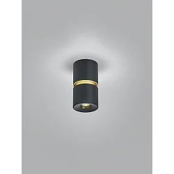 Luminaire de plafond ROK à 1 flamme, direct / indirect, focalisable IP20, or mat, noir mat gradable