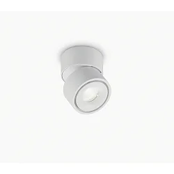 ceiling luminaire NAKA 9W 1 flame, adjustable IP20