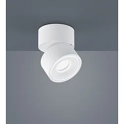 Luminaire de plafond NAKA 15W à 1 flamme, réglable IP20, blanc mat gradable
