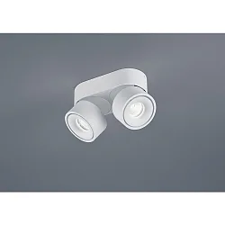 Luminaire de plafond NAKA 30W à 2 flammes, réglable IP20, blanc mat gradable