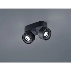 Luminaire de plafond NAKA 30W à 2 flammes, réglable IP20, noir mat gradable