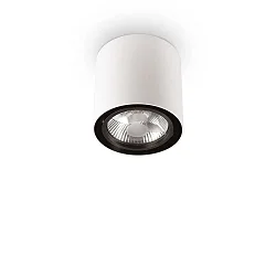 Downlight MOOD ROUND QPAR111, Ø 15cm, incl. GU10 50W 2700K, pivotable, white / black on the inside