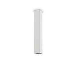 Luminaire de plafond SKY GU10 IP20, blanche, revêtement en poudre