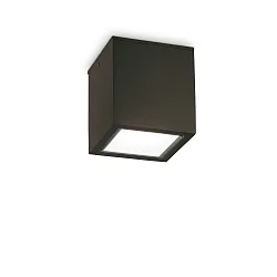 Plafonnier extérieur TECHO PL1 D15 SQUARE carré GU10 IP54, noir