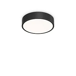 ceiling luminaire RAY 35 IP44