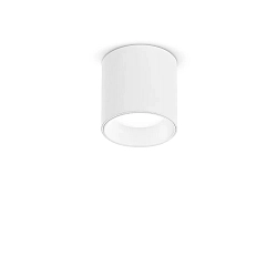 surface downlight NITRO D04 ROUND round, rigid, with lens optics, on/off IP20, white matt dimmable