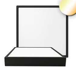 Luminaire de plafond PRO 300MM angulaire, CCT Switch IP20, noir gradable