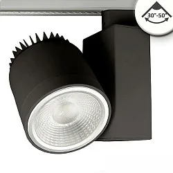 Projecteur triphasé FOCUS ADJUST 36W pivotant, rotatif, contrôlable par DALI, focalisable IP20, blanche gradable