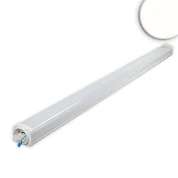 Lumière linéaire PROFESSIONAL contrôlable par DALI, 3 pôles, résistant aux chocs IP66