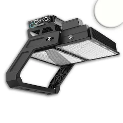 floodlight LW 1000W NW DALI - 130 X 25° 2-fold, swivelling, DALI controllable IP66, black dimmable