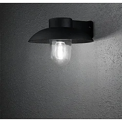 Luminaire mural d'extérieur MANI E27 IP44, noir , transparent