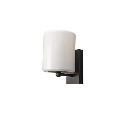 Luminaire mural d’extérieur PORTICI cylindrique, avec diffuseur E27 IP44, noir mat gradable