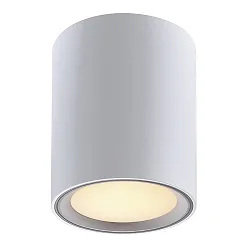 Luminaire de plafond FALLON LONG cylindrique IP20, blanche gradable