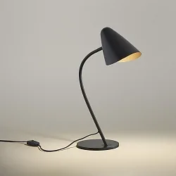 Lampe de table ORGANIC E27, noir 